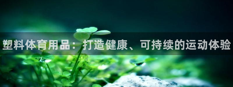 欧陆娱乐平台登陆地址是什么意思：塑料体育用品：打造健