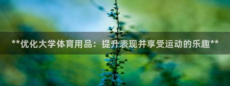 欧陆娱乐群里怎么进：**优化大学体育用品：提升表现并享受运动