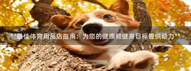 欧陆娱乐注册代理：**最佳体育用品店指南：为您的健康和健身目