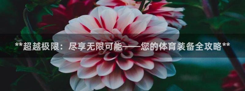 欧陆娱乐是正规平台吗安全吗可靠吗：**超越极限：尽享