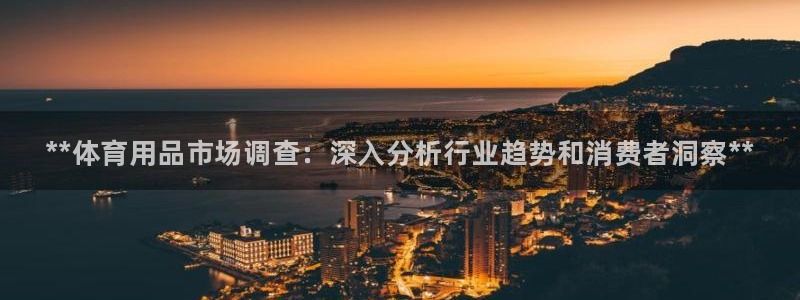 欧陆娱乐登录测速怎么关闭：**体育用品市场调查：深入分析行业