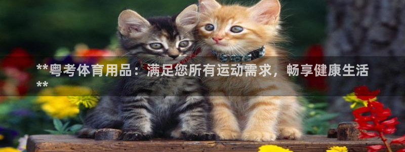 欧陆娱乐挂机怎么玩的：**粤考体育用品：满足您所有运