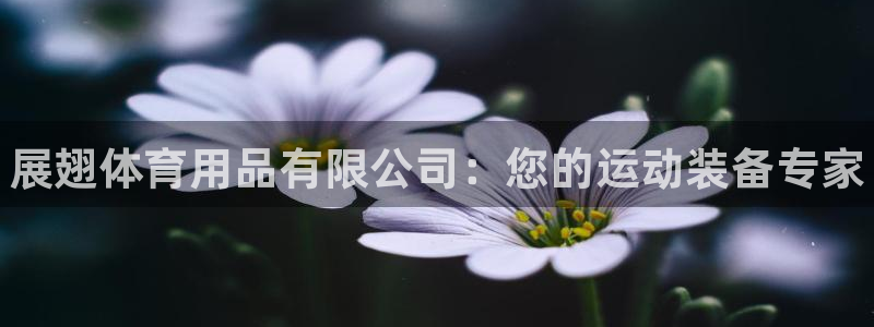 欧陆娱乐推广奖金多少