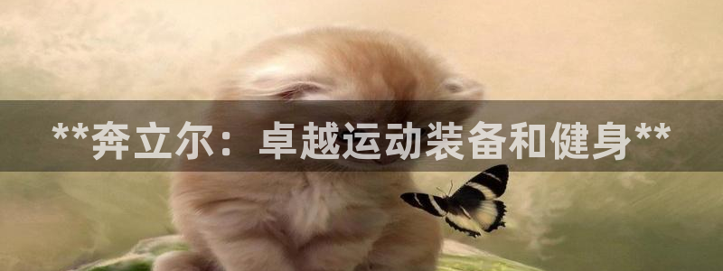 欧陆娱乐计划预测软件下载：**奔立尔：卓越运动装备和健身**