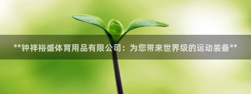 欧陆娱乐登录注册平台官网：**钟祥裕盛体育用品有限公司：为您