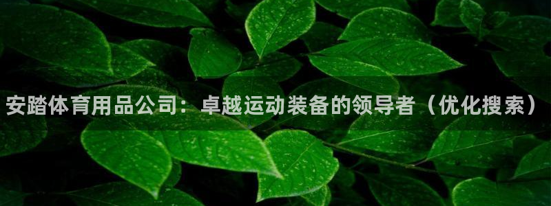 欧陆注册码：安踏体育用品公司：卓越运动装备的领导者（