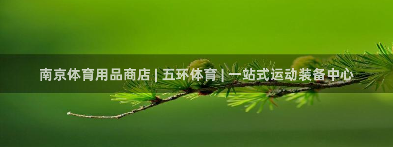 欧陆娱乐平台咋样啊知乎：南京体育用品商店 | 五环体育 | 