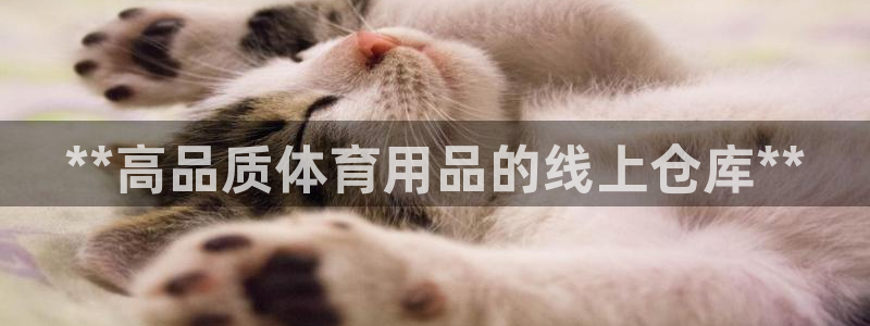 欧陆娱乐官网下载安装手机版：**高品质体育用品的线上仓库**