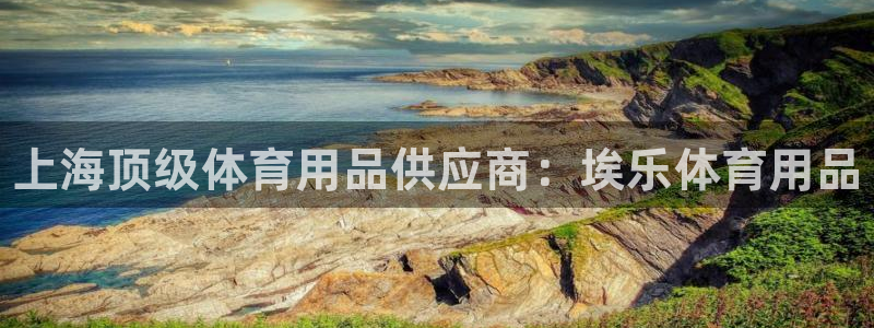 欧陆娱乐脚本下载：上海顶级体育用品供应商：埃乐体育用