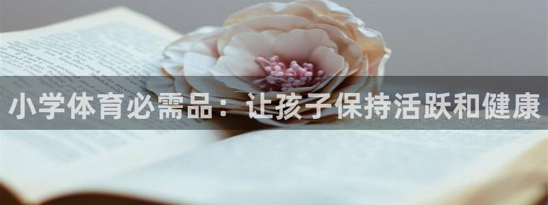 欧陆论坛：小学体育必需品：让孩子保持活跃和健康