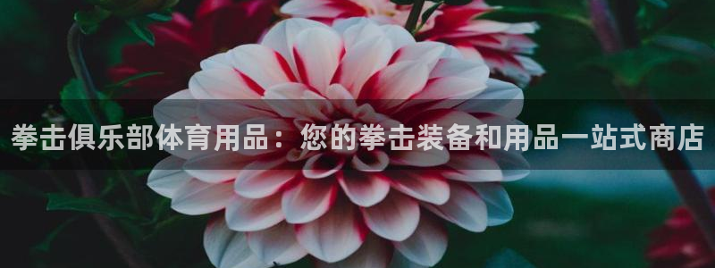 欧陆娱乐平台登录不上去怎么回事：拳击俱乐部体育用品：