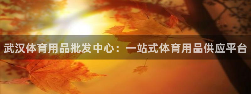 欧陆娱乐登录注册平台官网