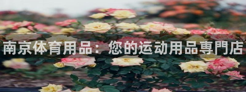 欧陆娱乐脚本下载：南京体育用品：您的运动用品専門店
