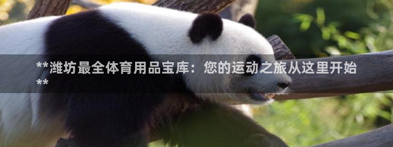 欧陆娱乐测速网站：**潍坊最全体育用品宝库：您的运动之旅从这