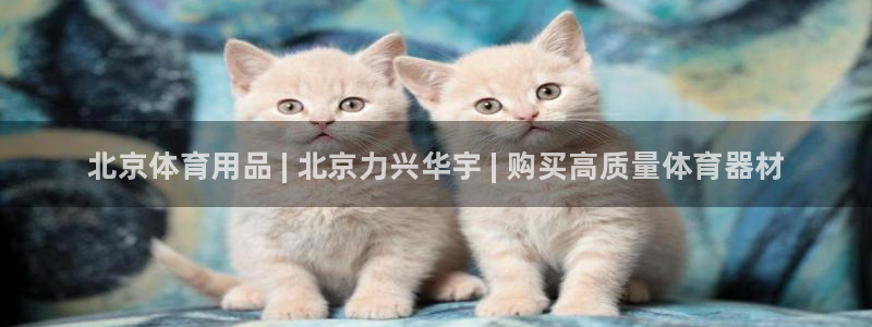 欧陆娱乐登陆平台有哪些：北京体育用品 | 北京力兴华宇 | 